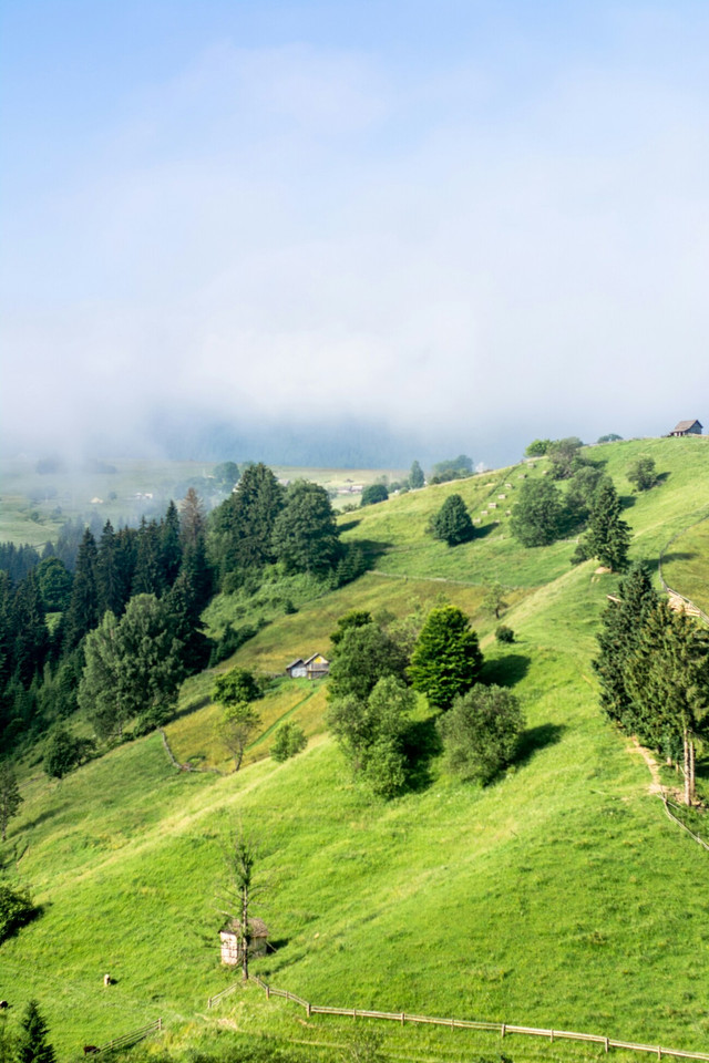 Пейзажі Верховини вражають - фото 562366