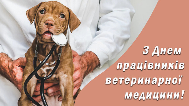 Працівники ветеринарної медицини сьогодні святкують - фото 562415