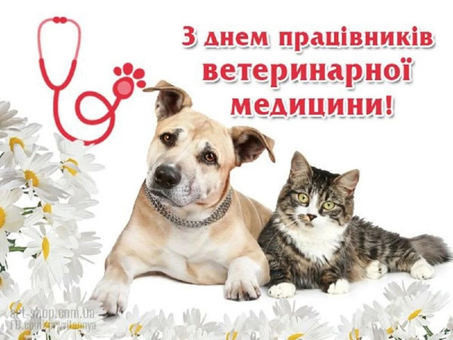 День працівників ветеринарної медицини 2025 - фото 562416