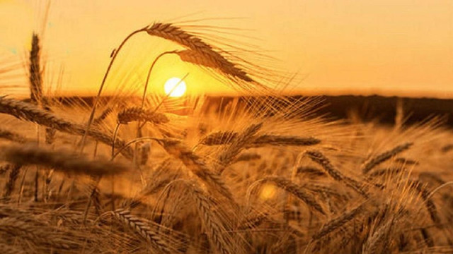 Погода 12 серпня віщувала, якою буде осінь - фото 562576