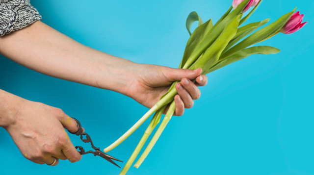 Обріжте стебла під кутом 45°- фото 562648