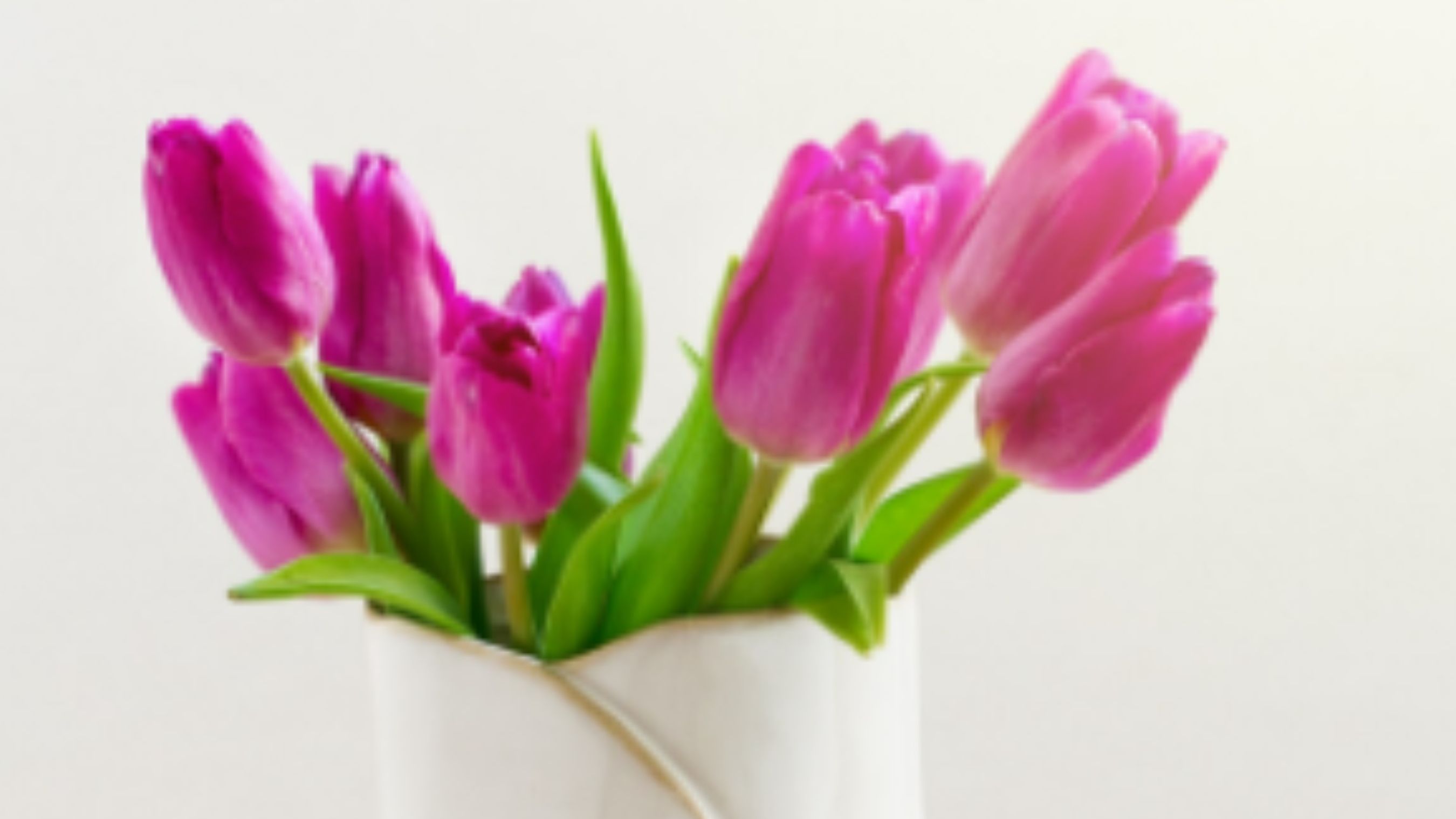 Як зберегти букет свіжим до місяця: секрет флористів - фото 1