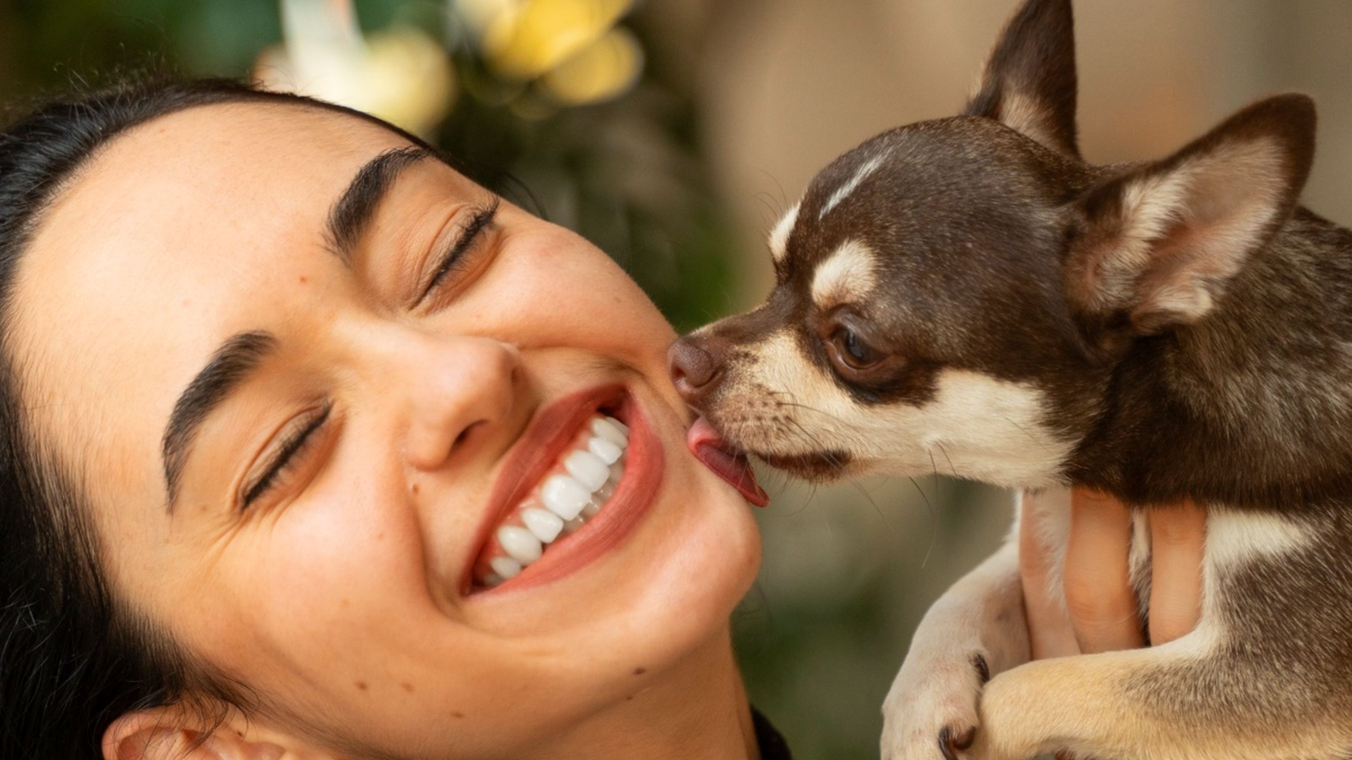 Чому собаки облизують господарів? - фото 1