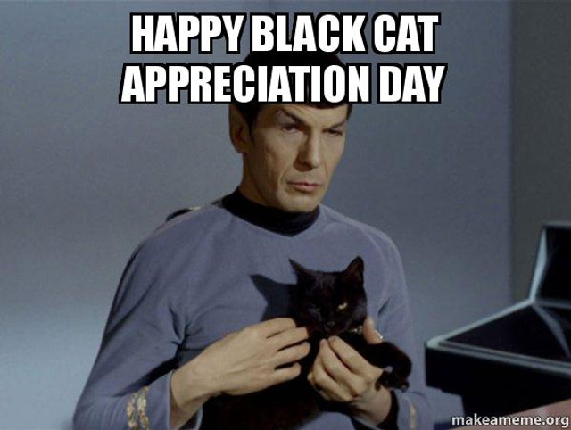 Муркотливе свято: смішні привітання з Днем чорного кота - фото 563110