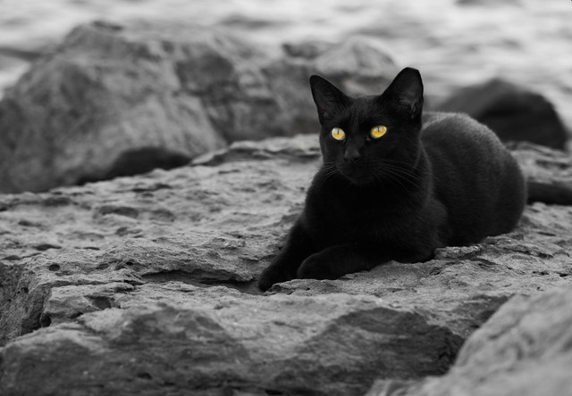 Яке свято відзначають 17 серпня: традиції, заборони і прикмети на цей день - фото 563152