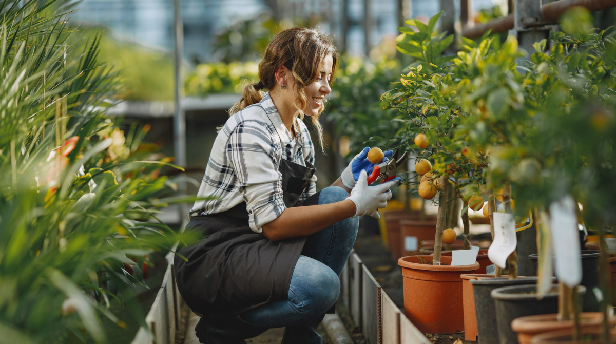 Домашній догляд за руками: як відновити шкіру після роботи на городі
