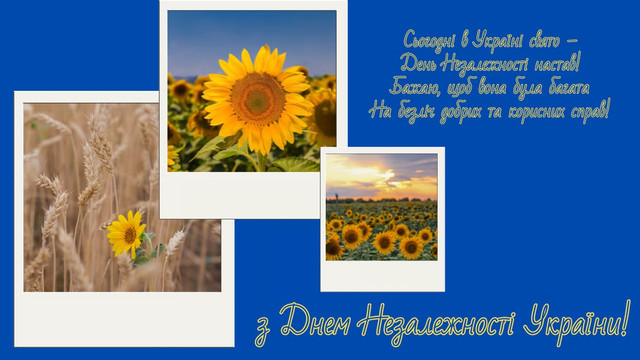 Підбірка віршованих привітань у День Незалежності - фото 563725