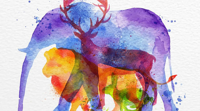 Психологічний тест: що розкриває про ваш характер тварина, яку ви побачили першою? - фото 563888