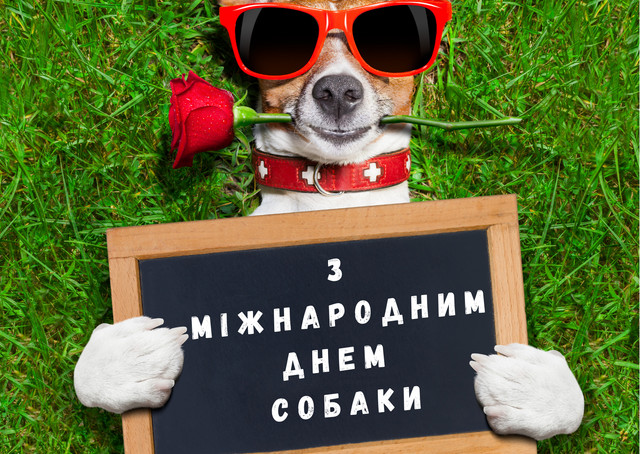 Міжнародний день собак 26 серпня - фото 563972