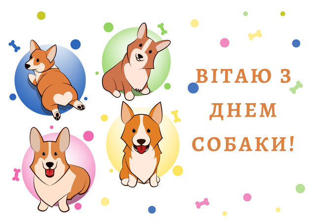 Міжнародний день собак 26 серпня - фото 563975