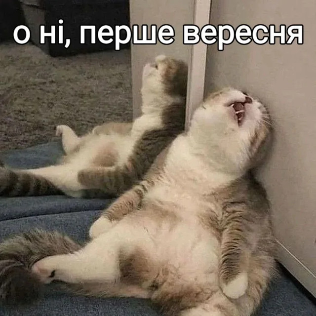 Добірка мемів про 1 вересня: смішні жарти про школярів та навчання - фото 564528