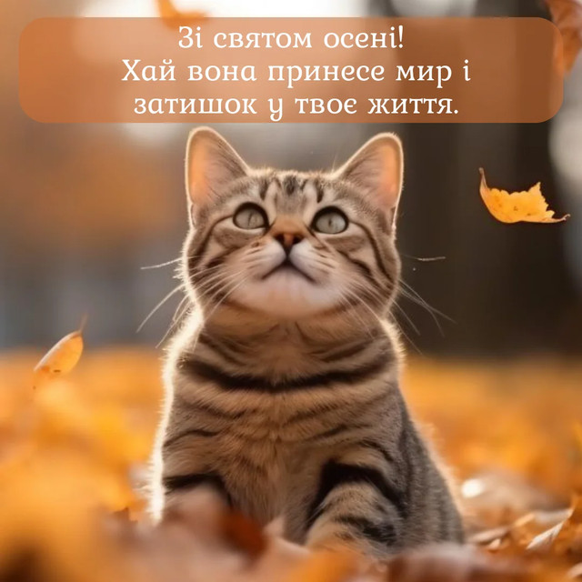 Привітання з першим днем осені 2025 року- фото 564639