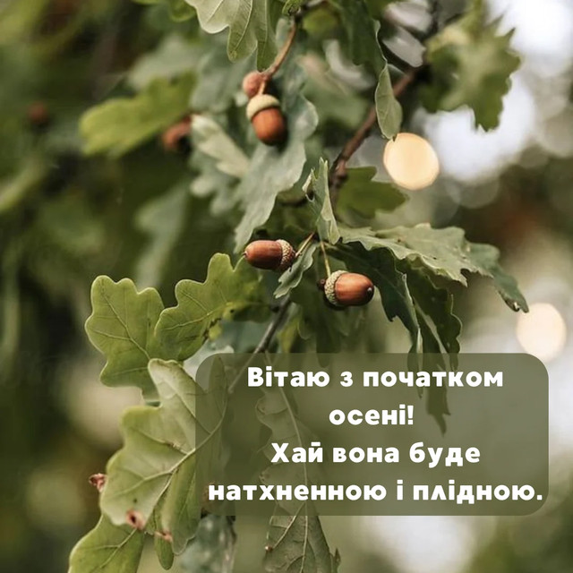 Привітання з першим днем осені 2025 року- фото 564642