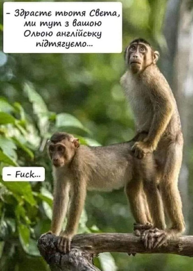 Кумедні картинки та жарти про початок осені - фото 564680