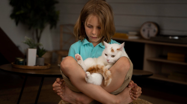 Як домашні тварини впливають на здоров'я дітей - фото 565747