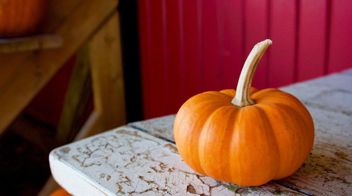 Осіннє рівнодення 2025: чому цей день називають Днем Сили