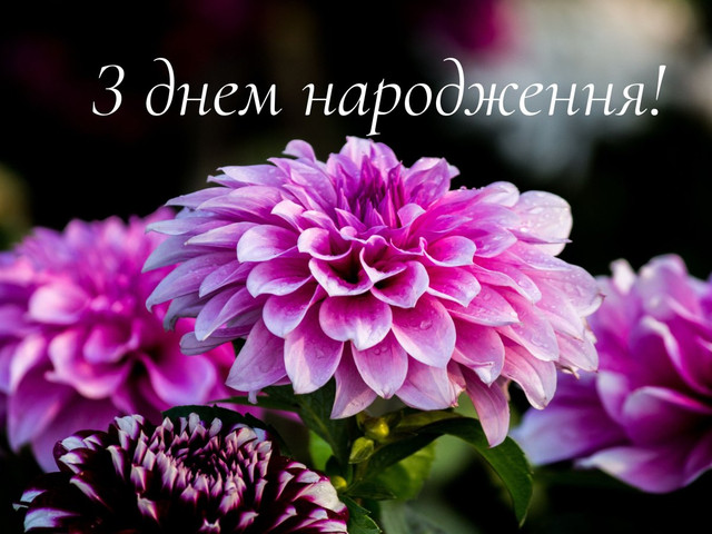 Красиві привітання з Днем народження для свахи у картинках і своїми словами - фото 566260