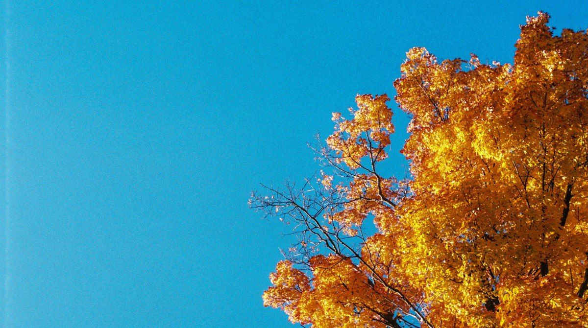 Осінній плед і кіно: 6 класичних фільмів, які треба переглянути