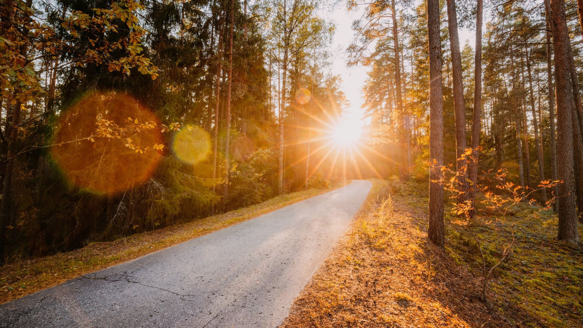 Чорна смуга добігає кінця: які знаки позбудуться проблем до кінця вересня