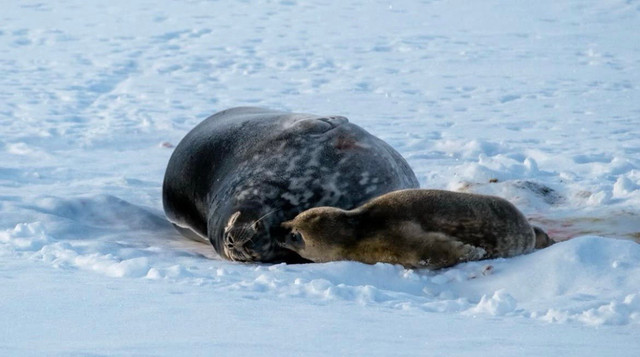 малюк горниться до мами - фото 567041