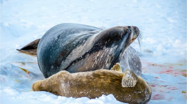 мама захищає дитину - фото 567042