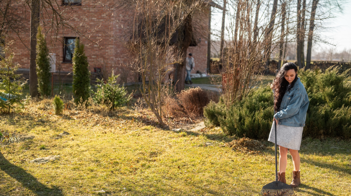 Архітектори руйнування: які дерева та кущі загрожують вашому фундаменту