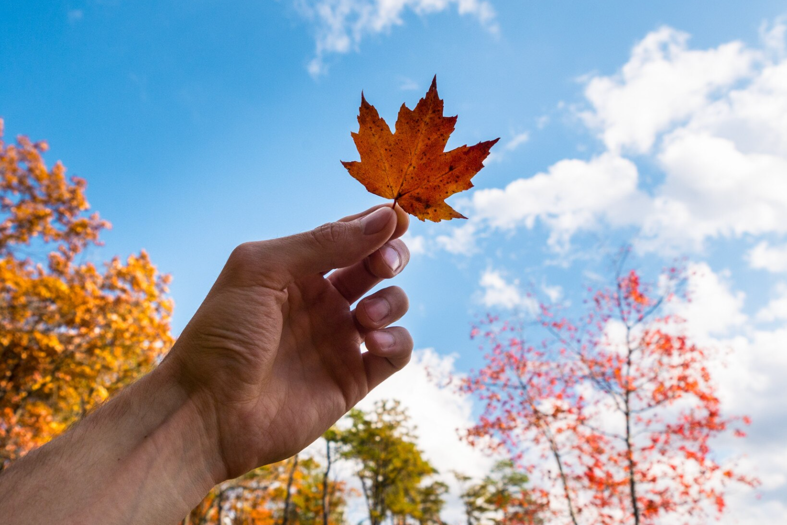 Чого очікувати від погоди у жовтні: чи буде він теплим