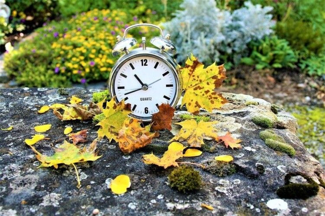 Чи переводять годинники на зимовий час у 2025 році - фото 568018