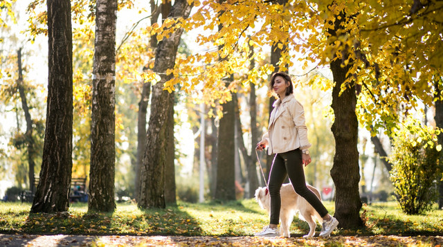 Щоденні прогулянки - фото 568149