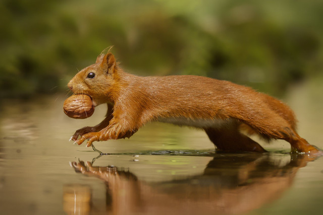 Яке свято відзначають 4 жовтня: традиції, заборони і прикмети на цей день - фото 568554