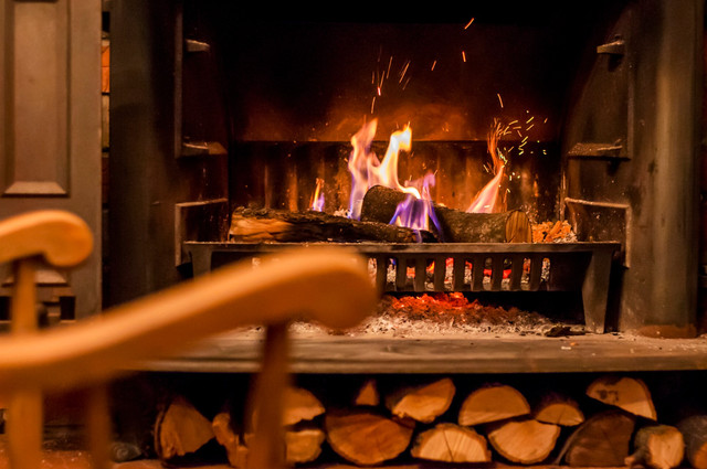 Які види деревини найкраще підходять для обігріву оселі - фото 569298