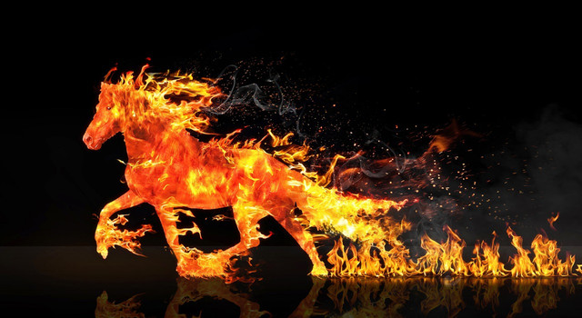 Яка тварина стане символом Нового 2026 року: у що вдягнутись у новорічну ніч - фото 569351