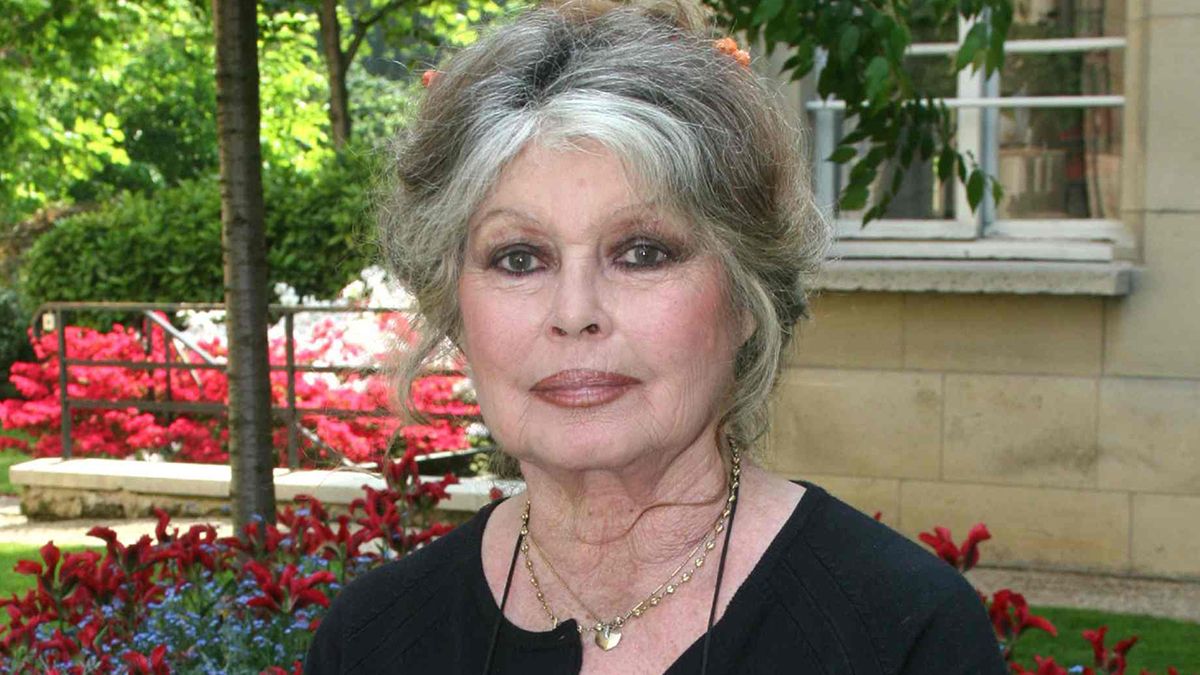 Бріжіт Бардо серйозно захворіла: легендарну акторку ушпиталили після складної операції