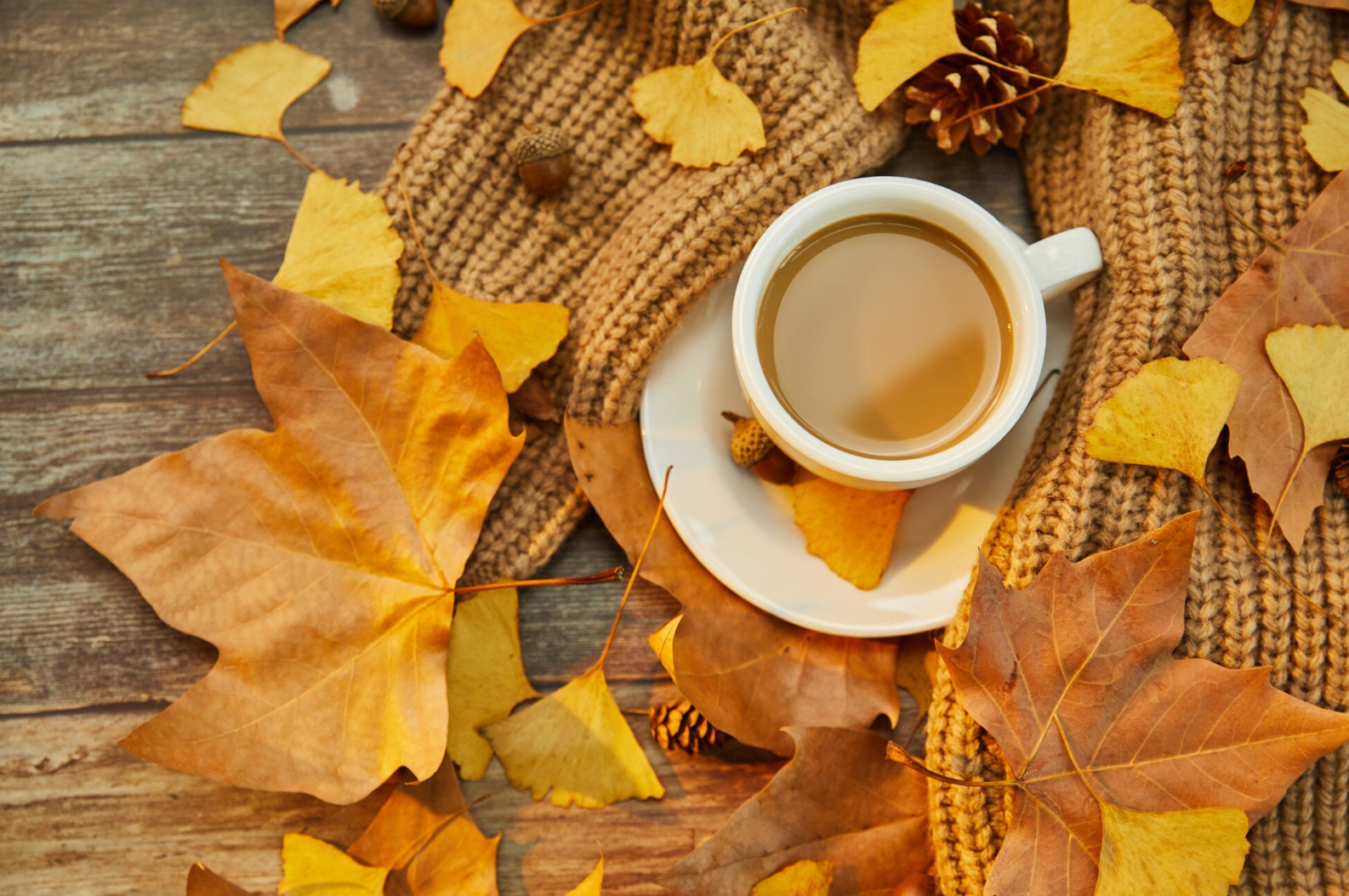 Яке свято відзначають 19 жовтня: традиції, заборони і прикмети на цей день