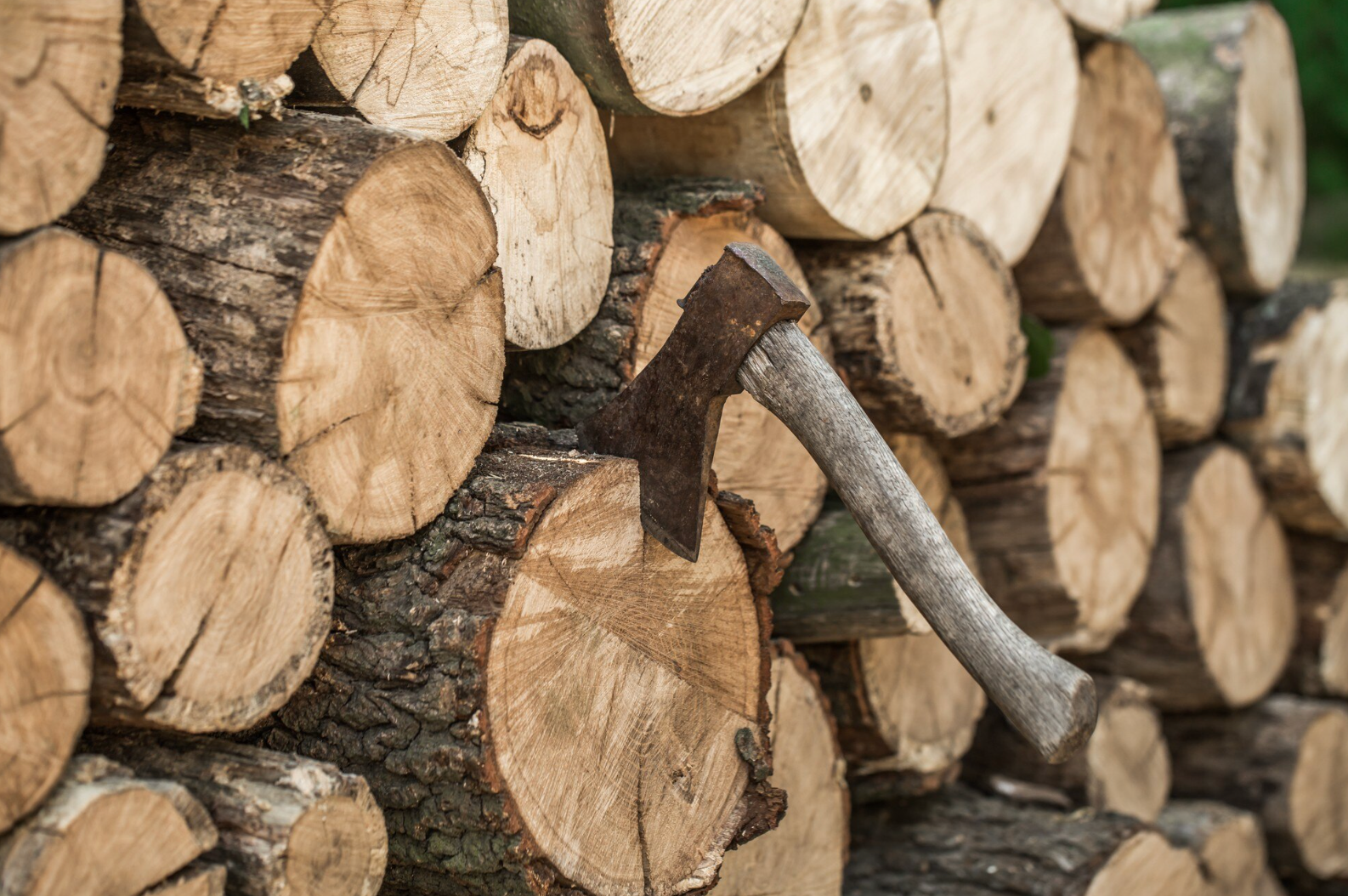 Гнитимуть та погано горітимуть: 7 помилок під час зберігання дров на зиму
