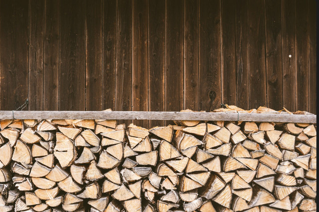 Гнитимуть та погано горітимуть: 7 помилок під час зберігання дров на зиму - фото 570060