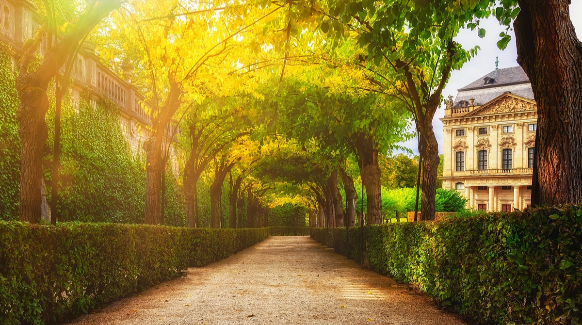 У Києві відкрили Терапевтичний сад на ВДНГ: місце, що допомагає відновитися