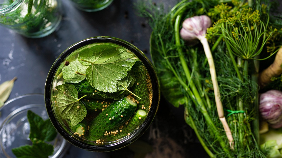 5 продуктів, які насичують організм пробіотиками: лікар назвав головні джерела