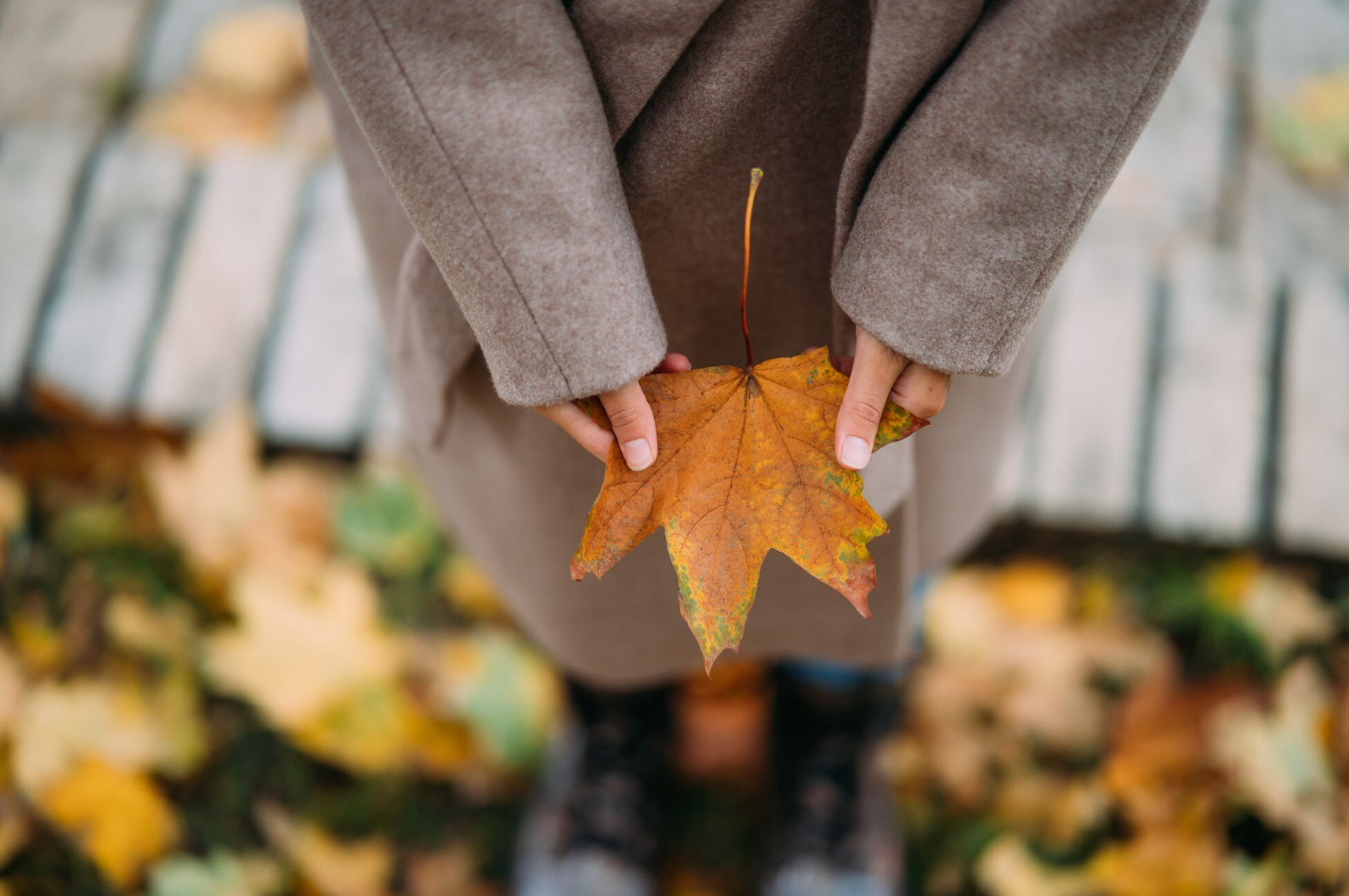 Яке свято відзначають 26 жовтня: традиції, заборони і прикмети на цей день