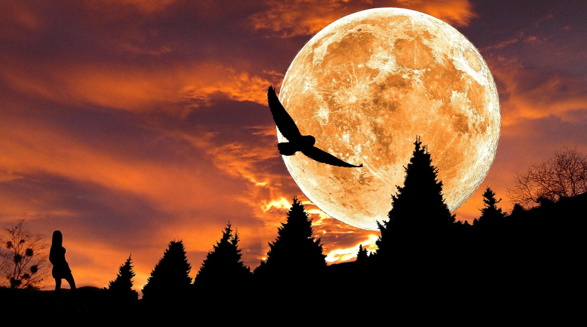 В українців є свій Хелловін: що треба і не можна робити у Велесову ніч 2025