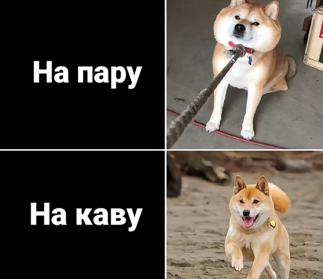 Меми про студентів- фото 572996