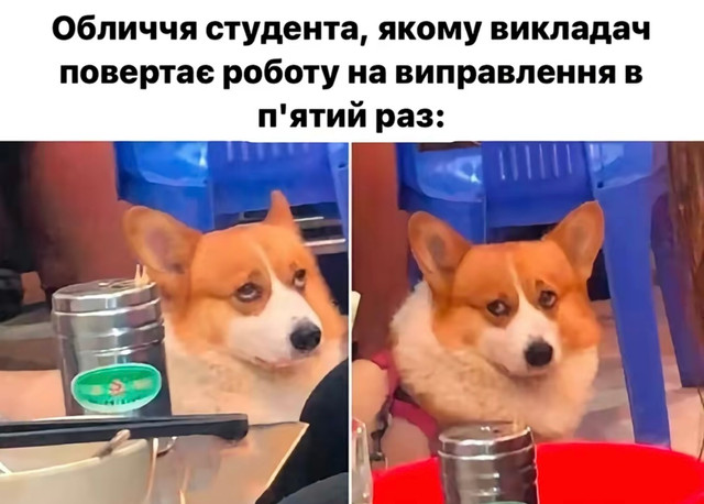 Меми про студентів- фото 572997