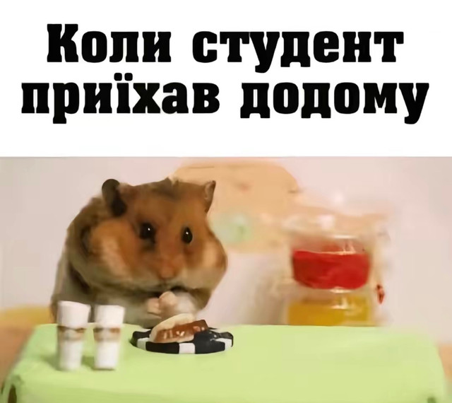Сміх замість сну: меми, які точно зрозуміє кожен студент - фото 573002