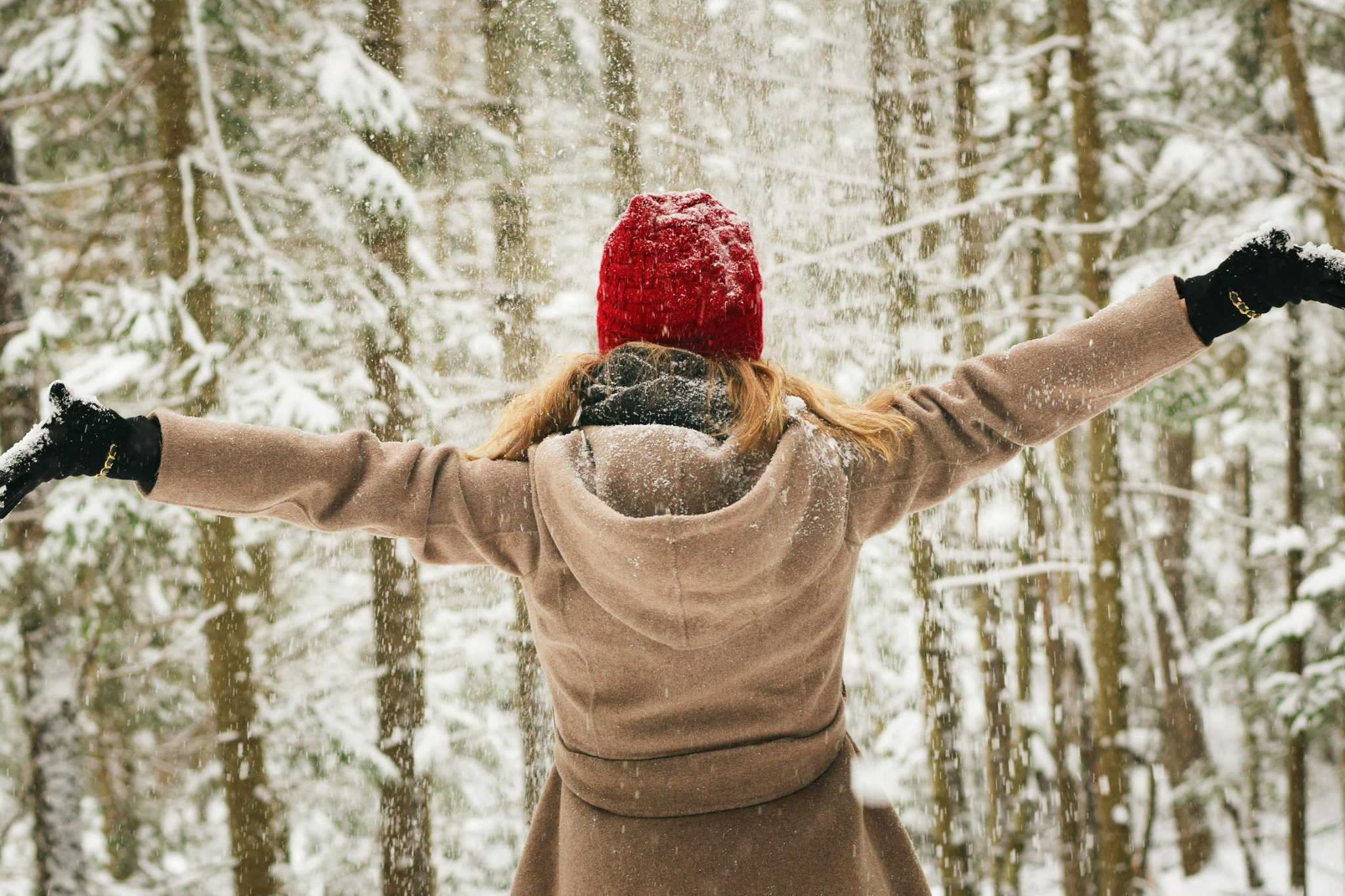 Зима без сплячки – топ 10 гарячих справ, які обов'язково треба запланувати