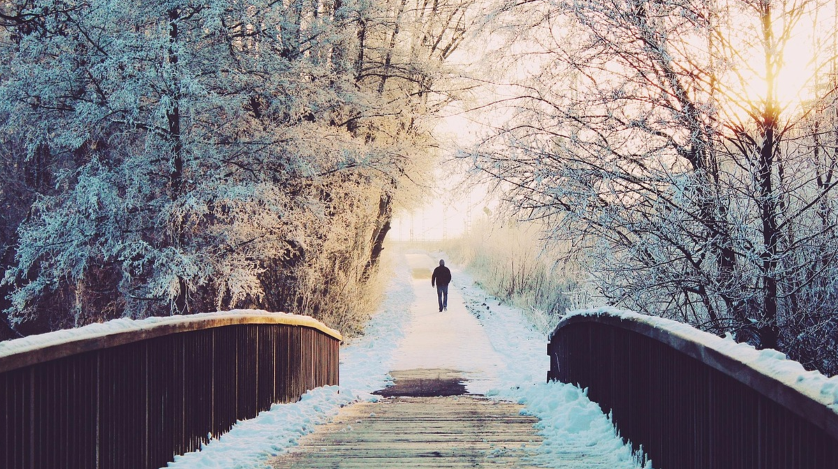 Зима приносить натхнення: найкращі цитати про зиму українською, які зігріють у морозні дні