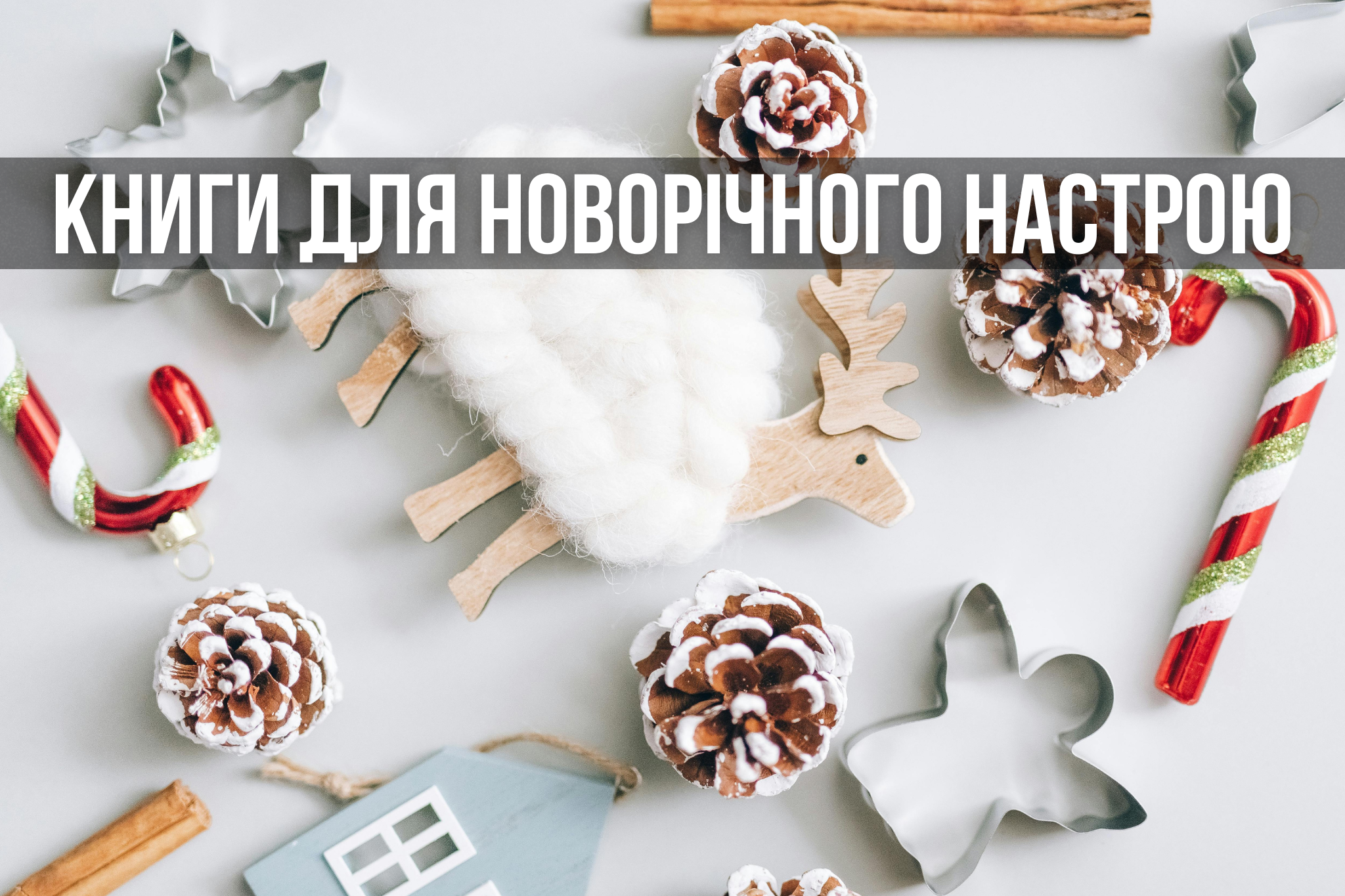 7 книжок, які створять зимову магію навіть без ялинки