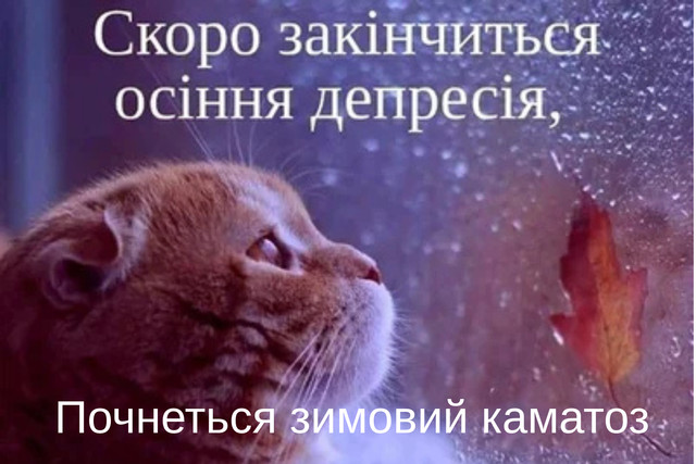 Зима близько: найсмішніші меми, які точно зігріють тебе краще за какао - фото 573428