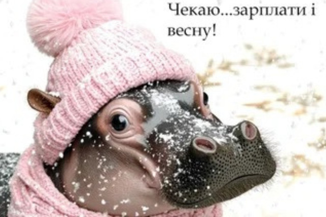 Меми про зиму - фото 573429