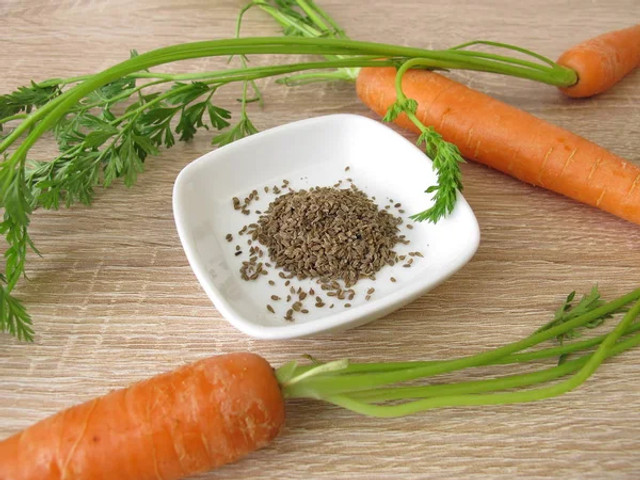 Що можна сіяти на городі в листопаді, навіть якщо землю вже присипало снігом - фото 573789