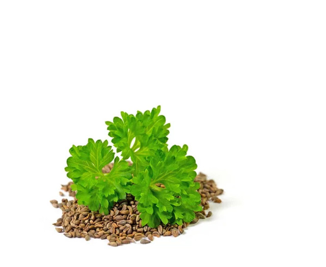 Що можна сіяти на городі в листопаді, навіть якщо землю вже присипало снігом - фото 573791